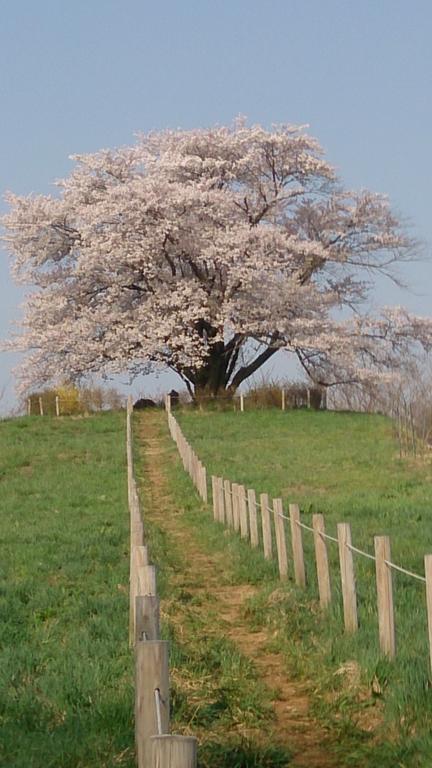 Active Resorts Iwate Hachimantai Hachimantai  Zewnętrze zdjęcie